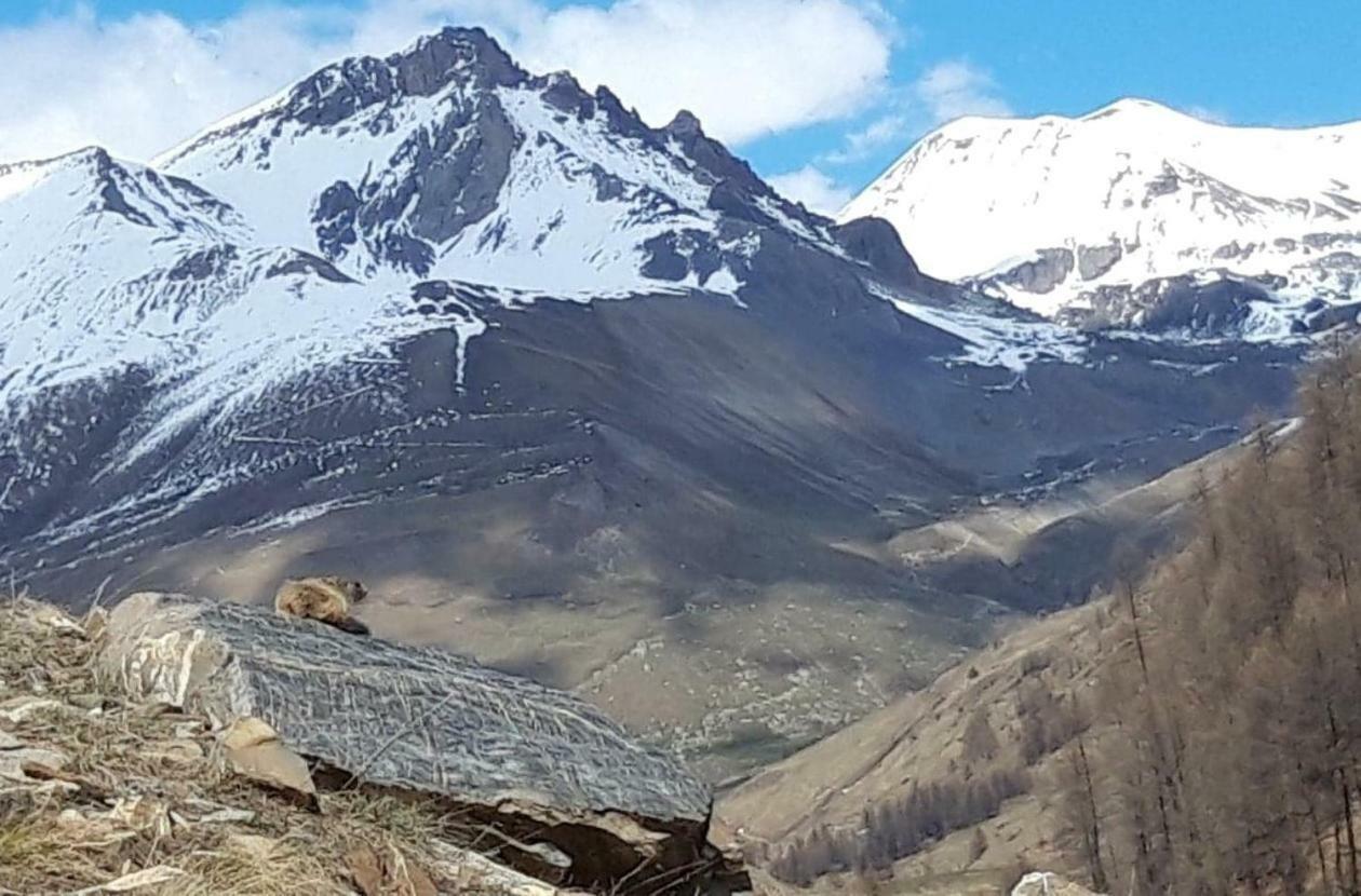 Ubaye Liberty Daire Barcelonnette Dış mekan fotoğraf